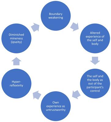 They have taken out my spinal cord: an interpretative phenomenological analysis of self-boundary in psychotic experience within a sociocentric culture